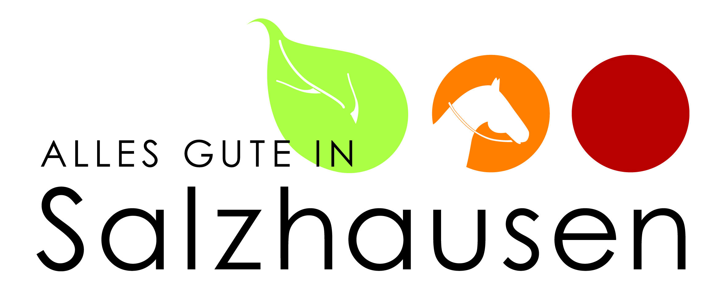 Salzhausen Logo