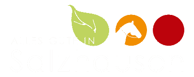 Salzhausen